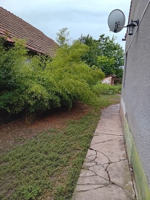 Casa de vinzare localitatea Dorobanti, judetul Arad