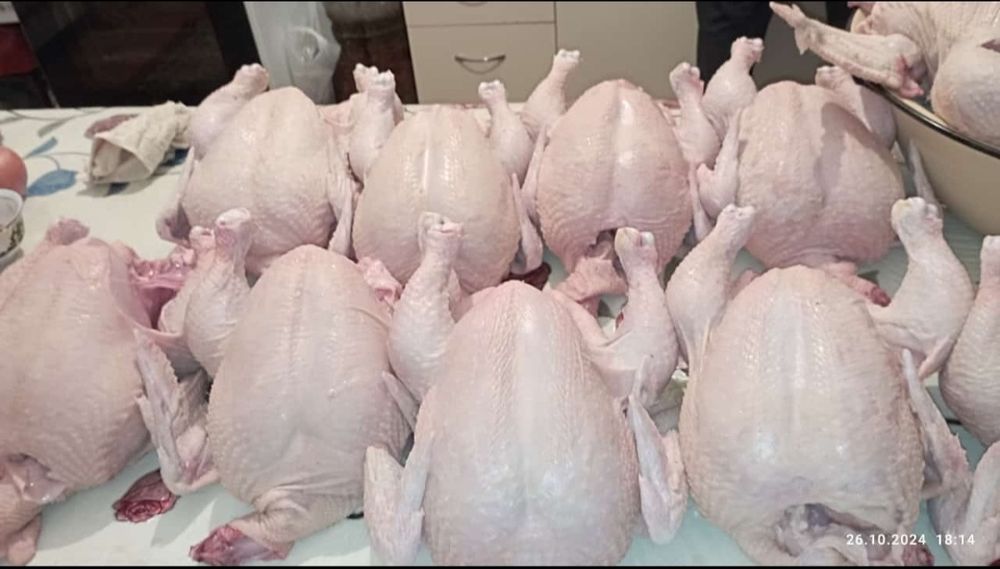 Продаются бройлеры