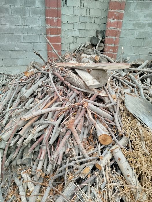 Утин Сотилади,,Меваники,,Тол. Дарахт ники