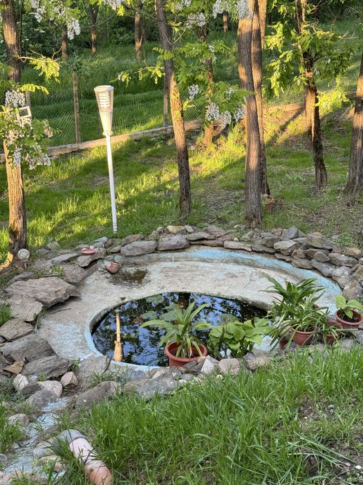 Vand casa in Lugojel