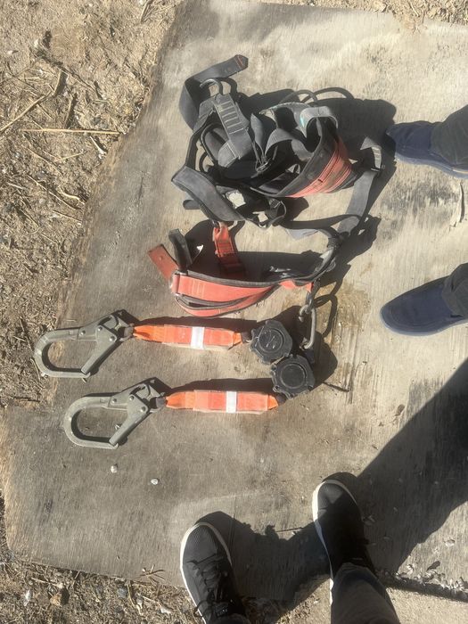 Страховка для лисы