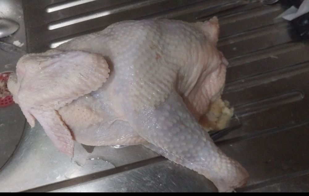 Продаются очень экологически чистые курочки,индюшки,индоутки,перепёлки