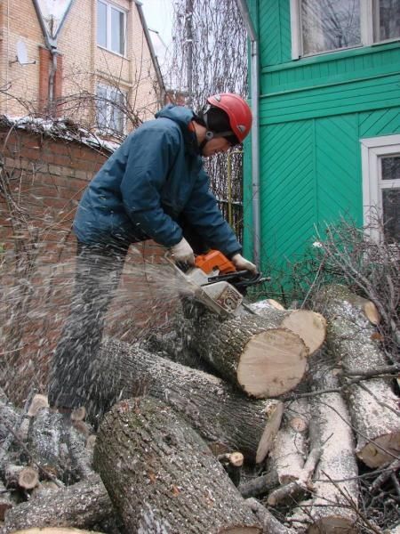 Спил деревьев обрезка ағаш кесеміз