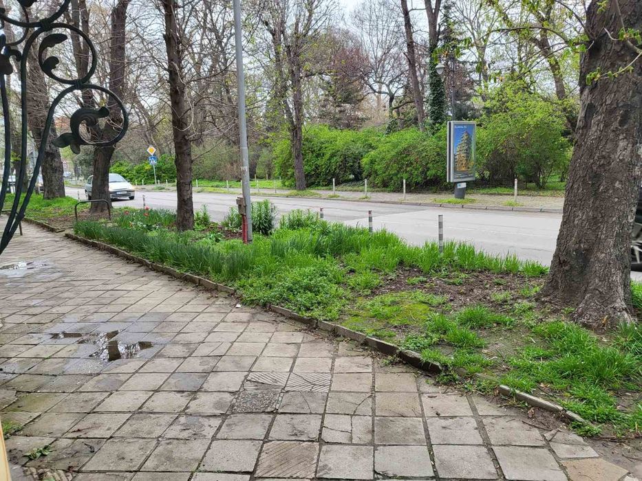 Дава се под наем  в Варна, Погреби - 30 кв.м за 270.3 € - Снимка #8