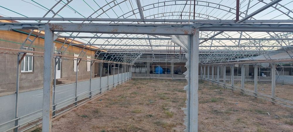 Tayyor issiqxona sotiladi