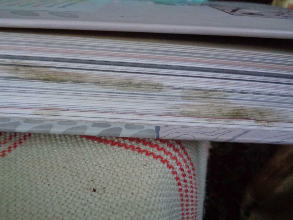 Продавам книгата ; The Best American Comics 2013