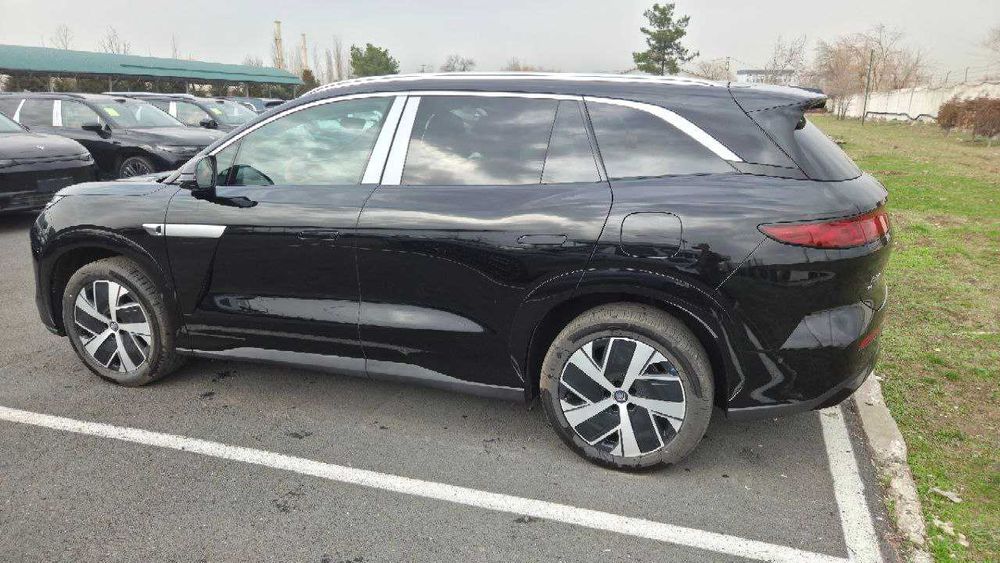 BYD TAN L, 670 км, 2-позиция