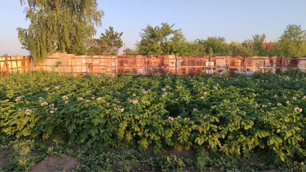 продам дачу вишенка