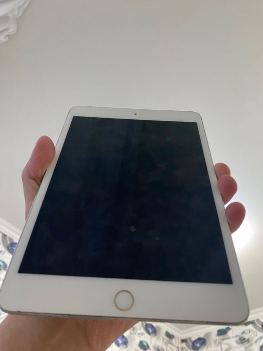 iIPad mini A1538