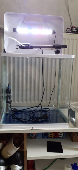 Acvariu in stare buna