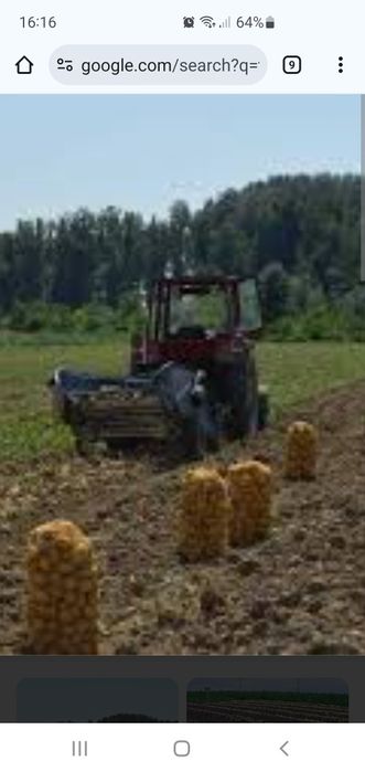 Teren extravilan Pitaru DB 45000 mp