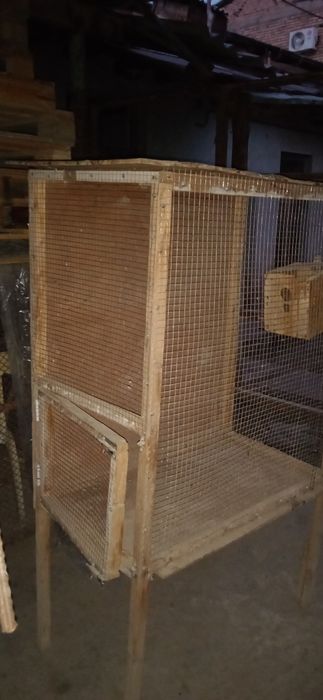 Ин кушларга холати емон эмас керак эмас шунга сотилвоти