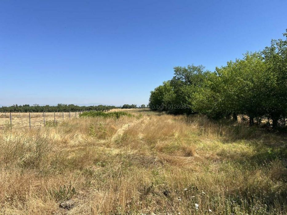 Оферта 71434 - Парцел 3181 кв.м в Цалапица