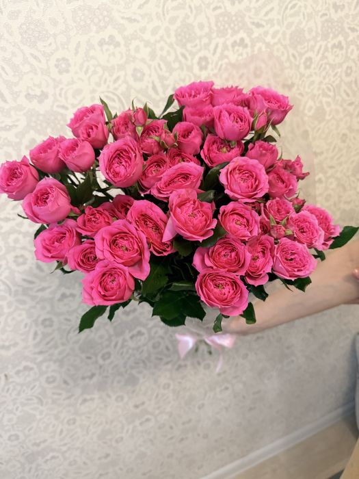 Продам цветы недорого