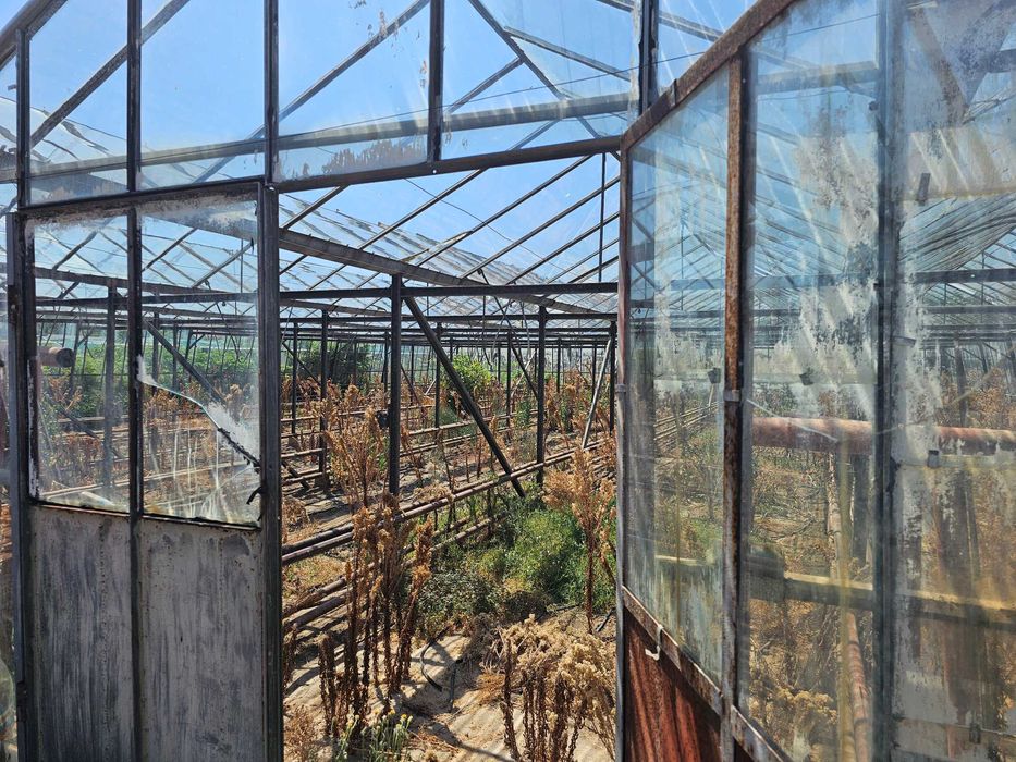 Продава се стъклена оранжерия