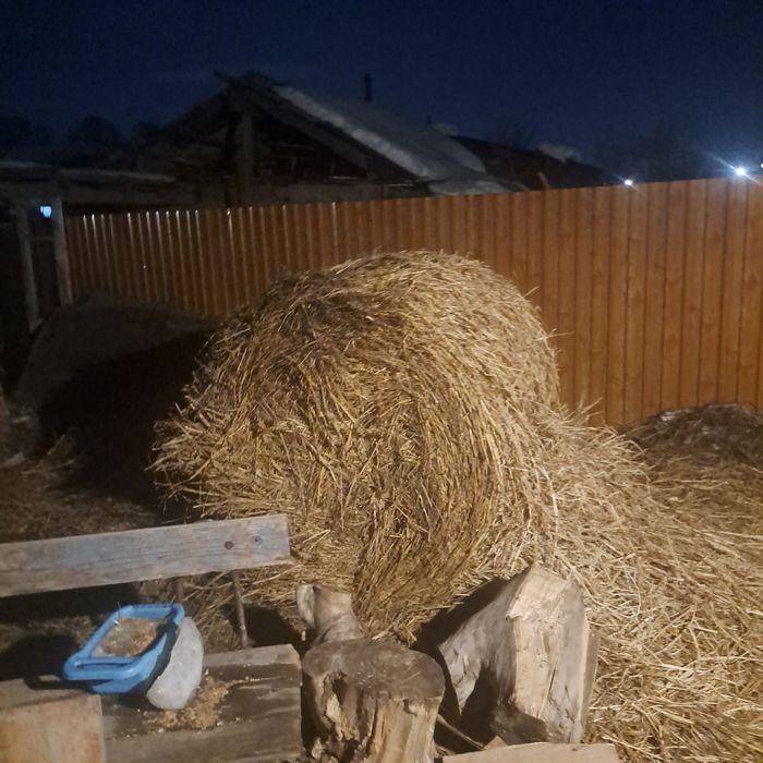 Продам сено крс,,,