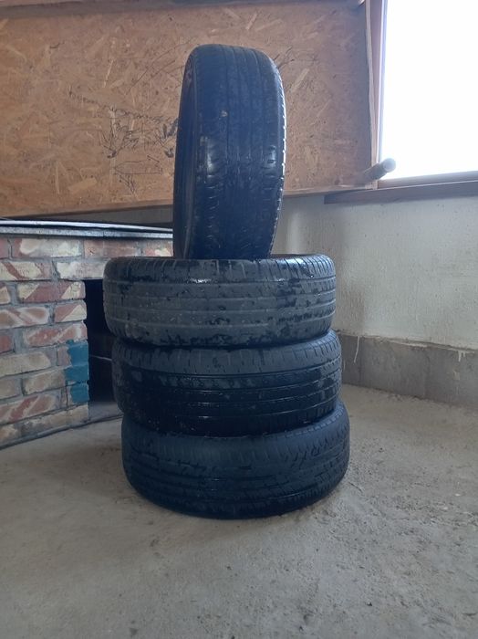 Коблыт шин летный