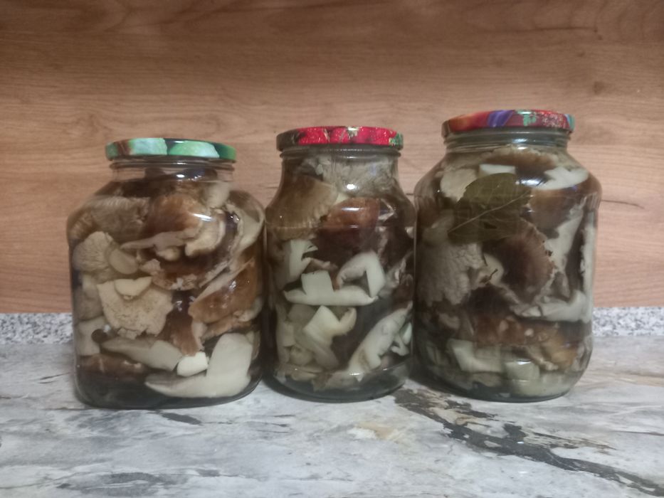 Продам маринованные грибы