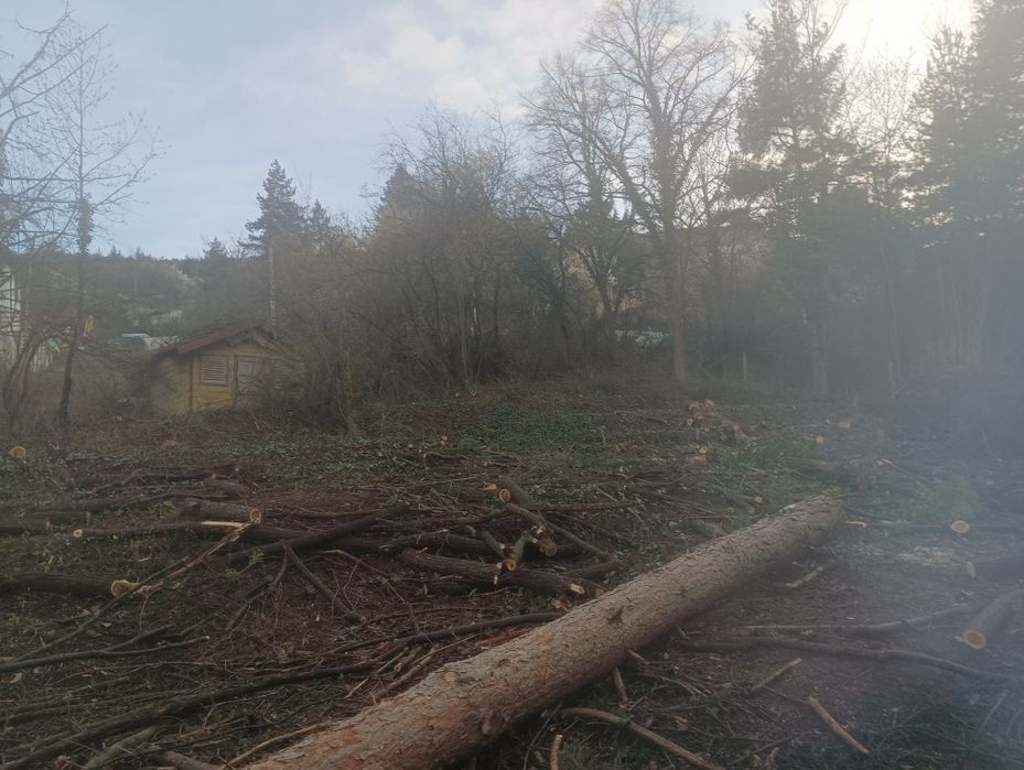 Почистване на парцели имоти дворове