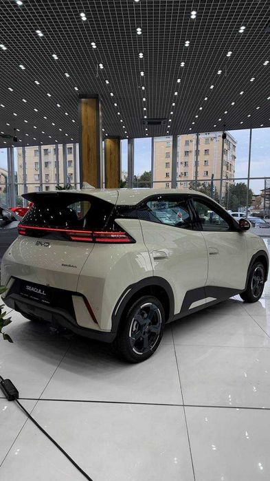Yangi BYD Seagull 2026 rasmiy dilerdan kafolat bilan