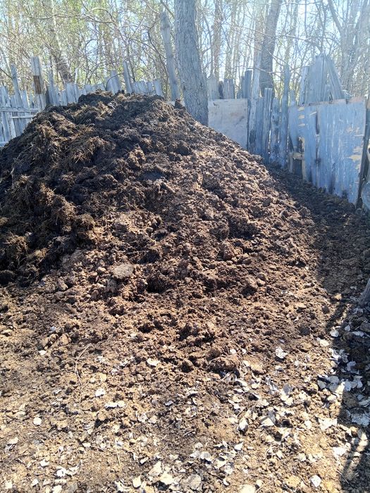 Навоз көң навоз көң тегін