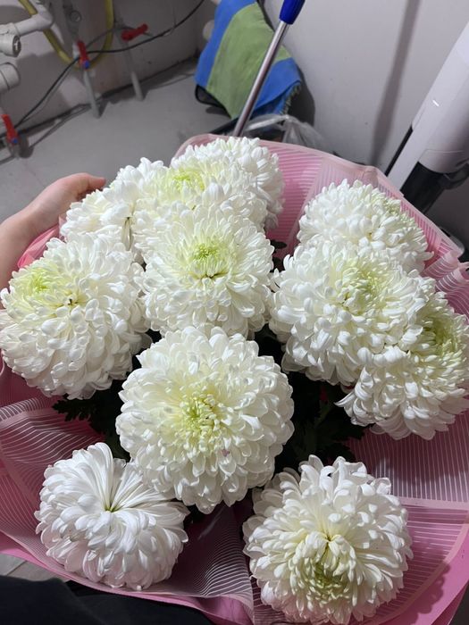 Цветы свежий свежий