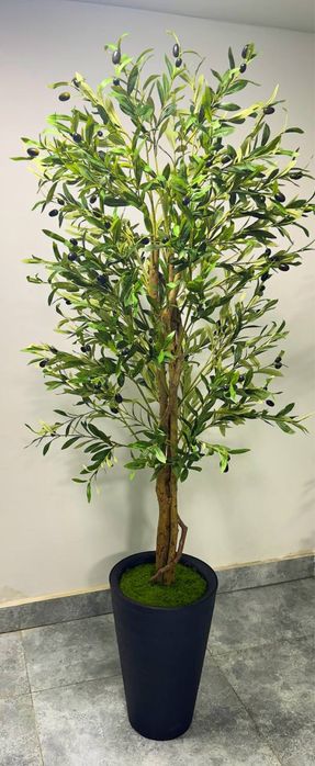 Суний гуллар ва драхтлар