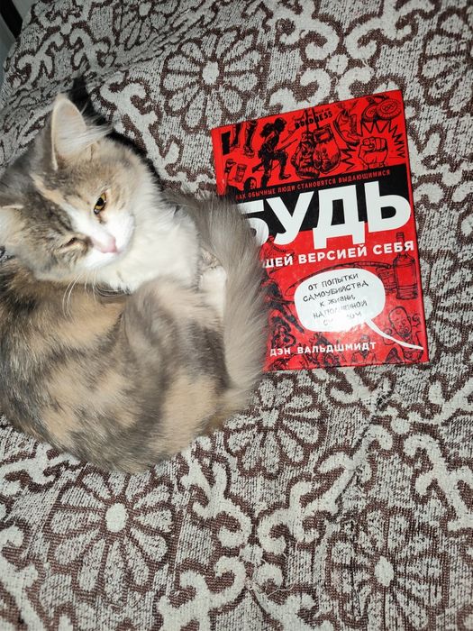 Отдам даром кошку