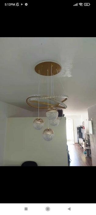 Елегантен полюлей