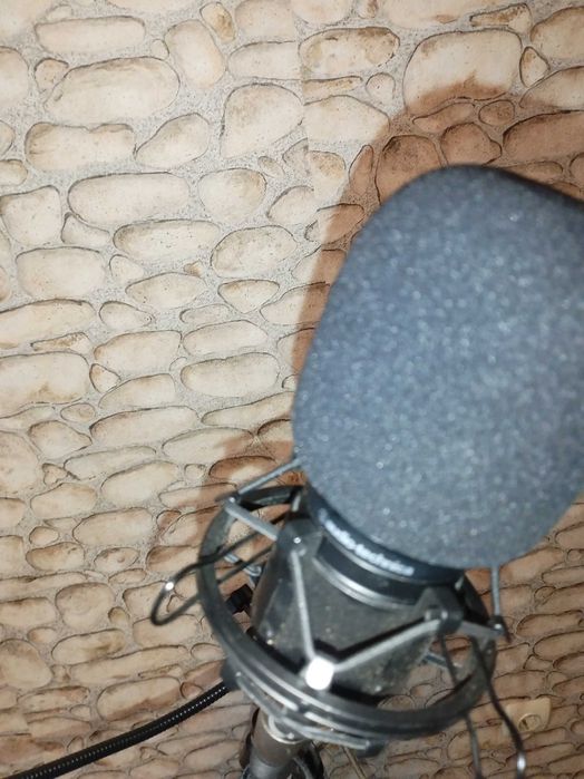 Microfon Audiotechnica At 2020