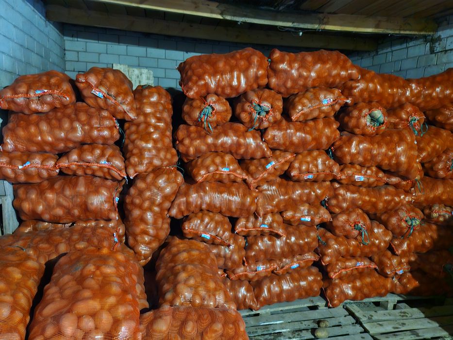 Продам  картофель