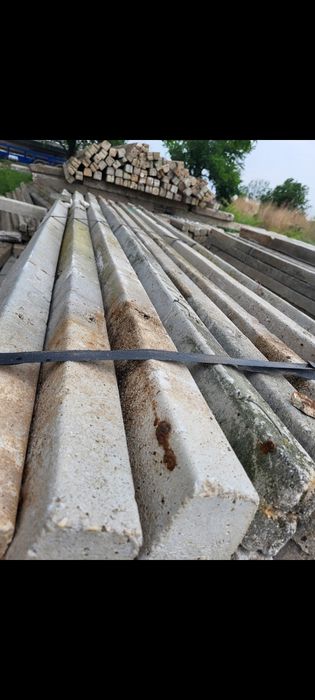 Spalieri beton din defrisari