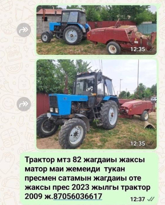 Трактор белорус мтз 82