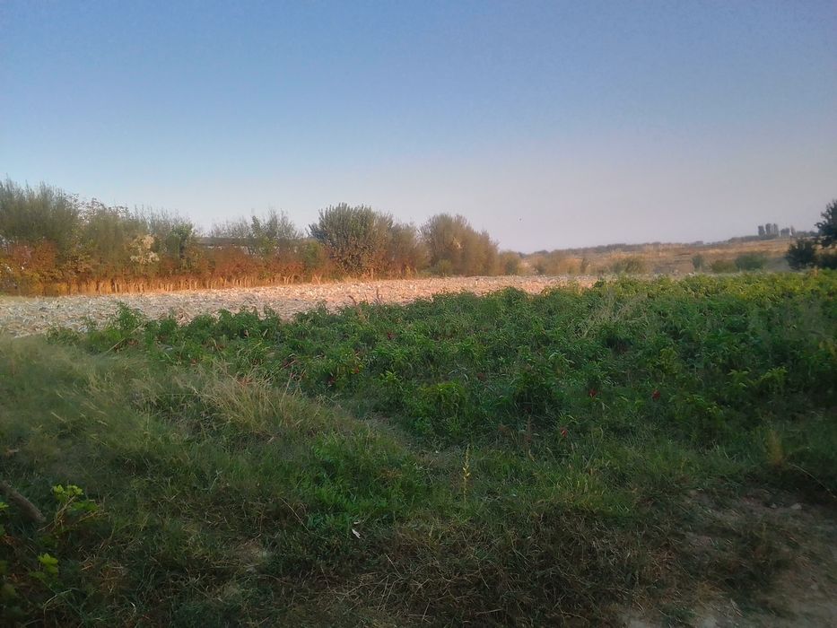 Үй сотилади Бука туманида,Чавлисой МФИ ,Замондош кучаси 30