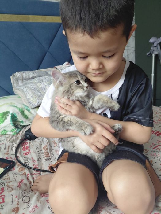 Котёнка отдам даром мальчик