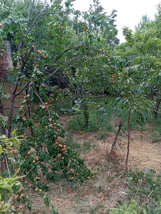 Продам жилой дом