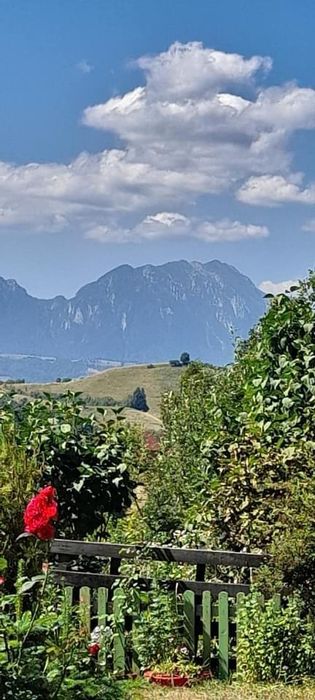 Cabana de închiriat