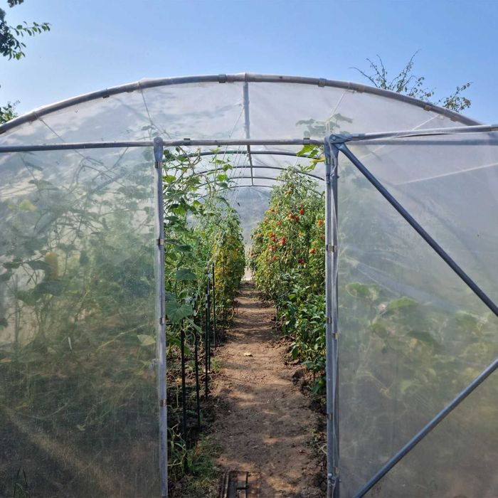 Оранжерия с врата 18/27/36/45/54 кв.м. Tehno MS Безплатна доставка