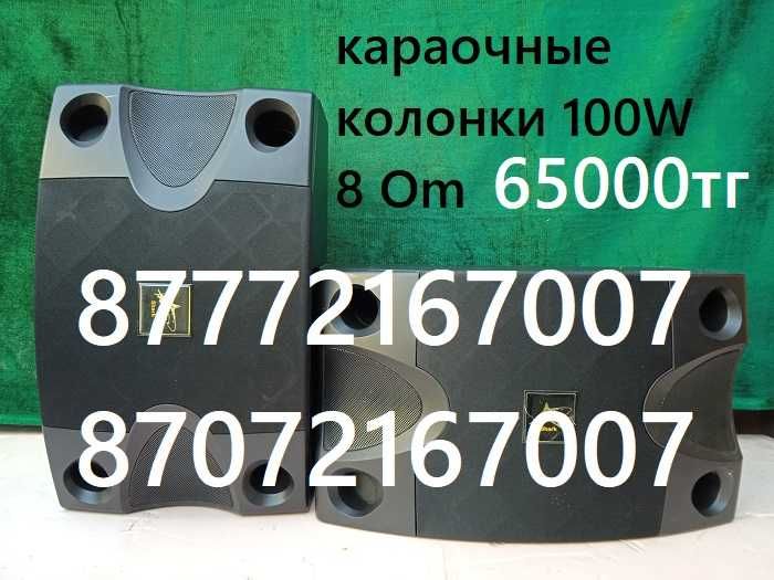Караочные колонки 8" по 100W