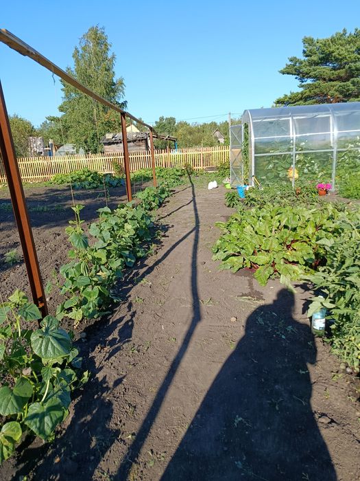 СРОЧНО! Продам дачу. с/о Тихая роща.