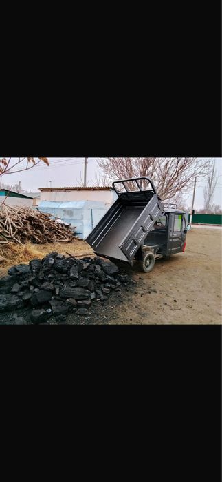 Муравей трицикл skilmax электровелик