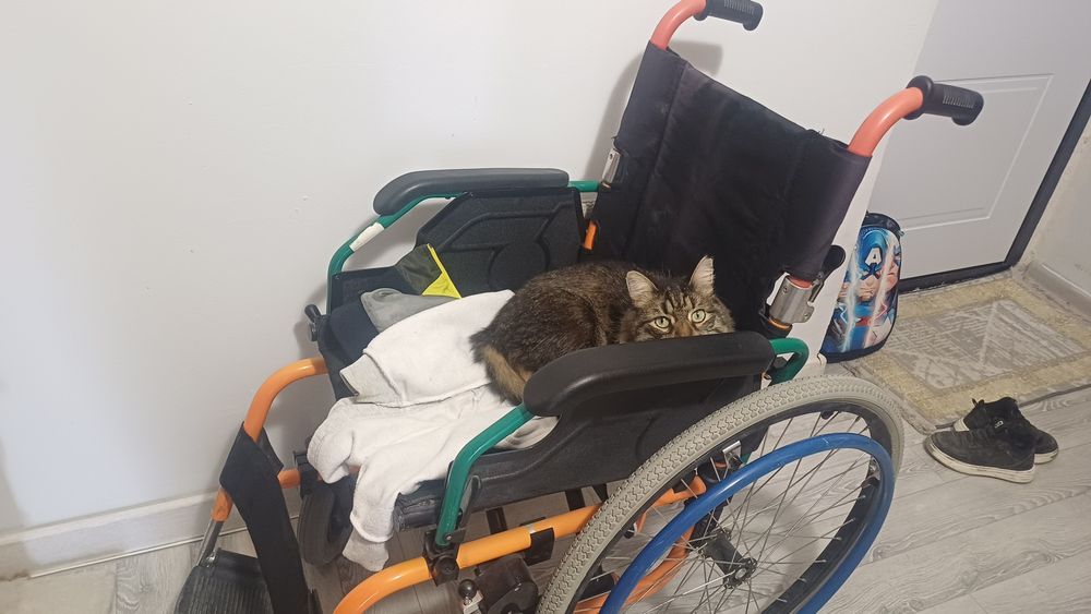 Инвалидная коляска