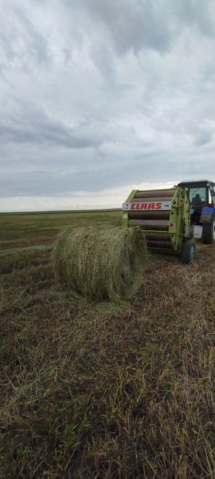 Продам сено в рулонах