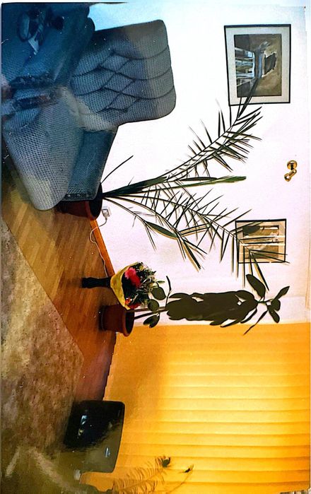 Apartament 4 cam