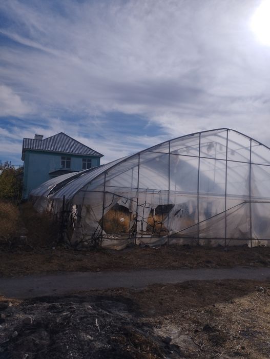 Теплица в хорошем состоянии