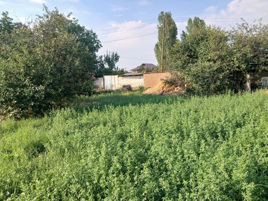 5 sotixlik yer narxi 5.500$ narxi kelishiladi