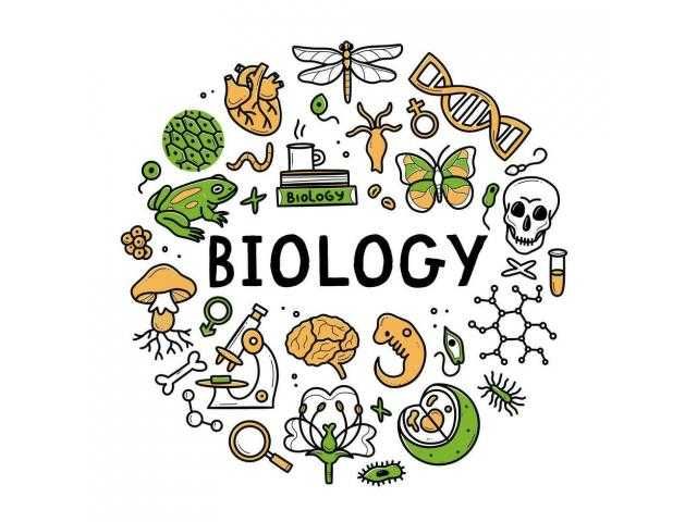 meditatii biologie pentru bac, Cluj-Napoca