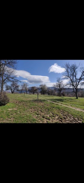 Продава се Земеделски имот в с. Орешак, Област Ловеч -  кв.м за 2915 €/дка - Снимка #3