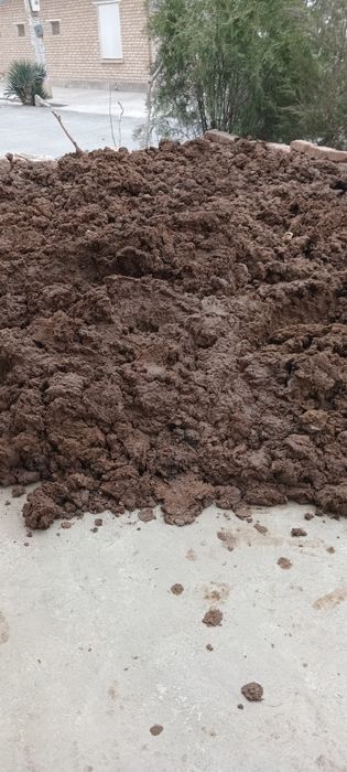 Навоз отдам даром