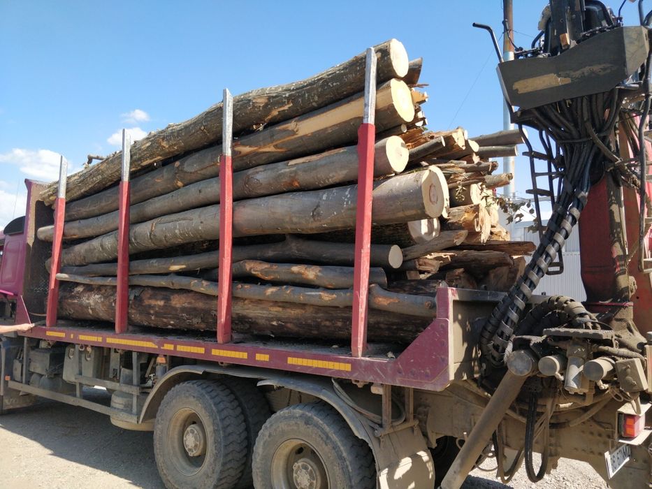 Lemn foc - bustean - USCAT sau VERDE